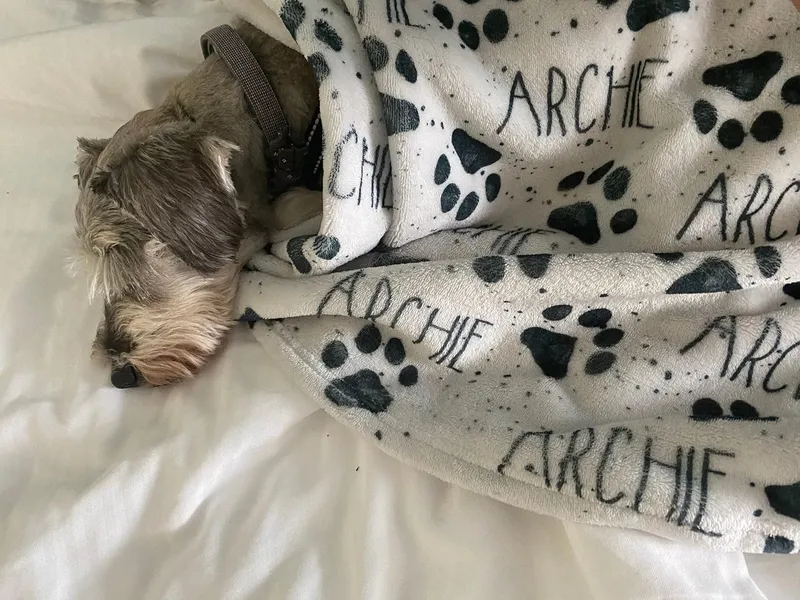 Personalized Paw Print Pet Blanket